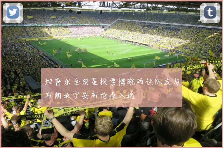 坦普尔全明星投票揭晓两位队友与布朗坎宁安布伦森入选