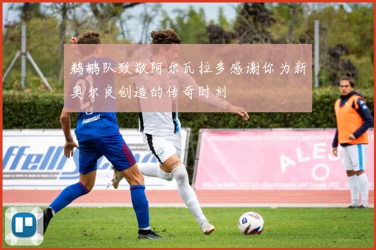 鹈鹕队致敬阿尔瓦拉多感谢你为新奥尔良创造的传奇时刻